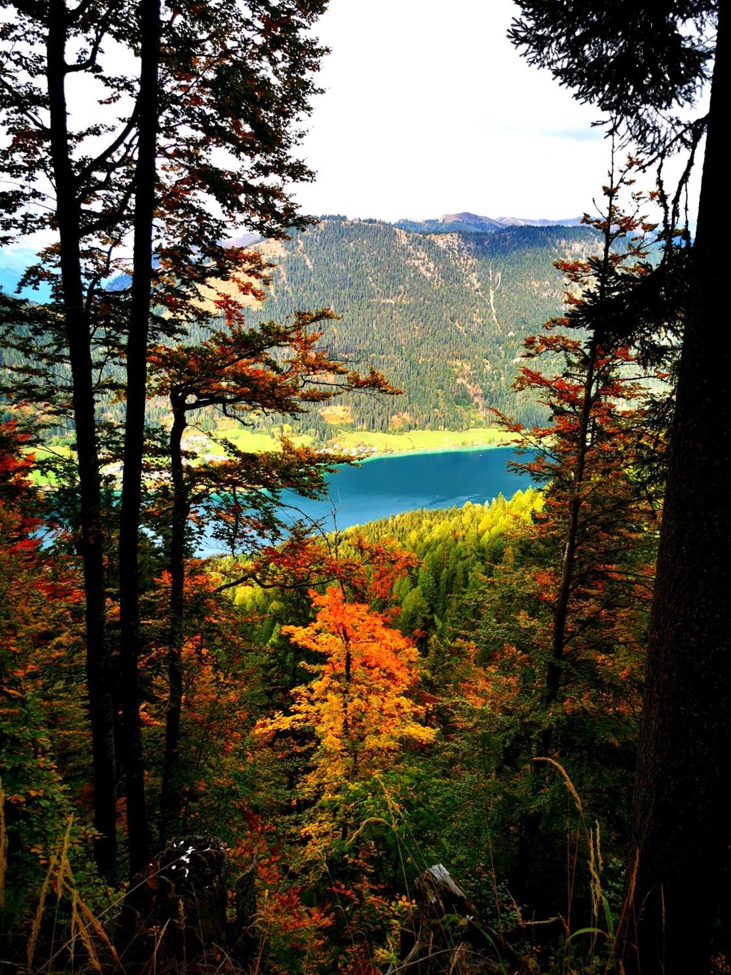 Premium Apartments Am Weissensee Buitenkant foto